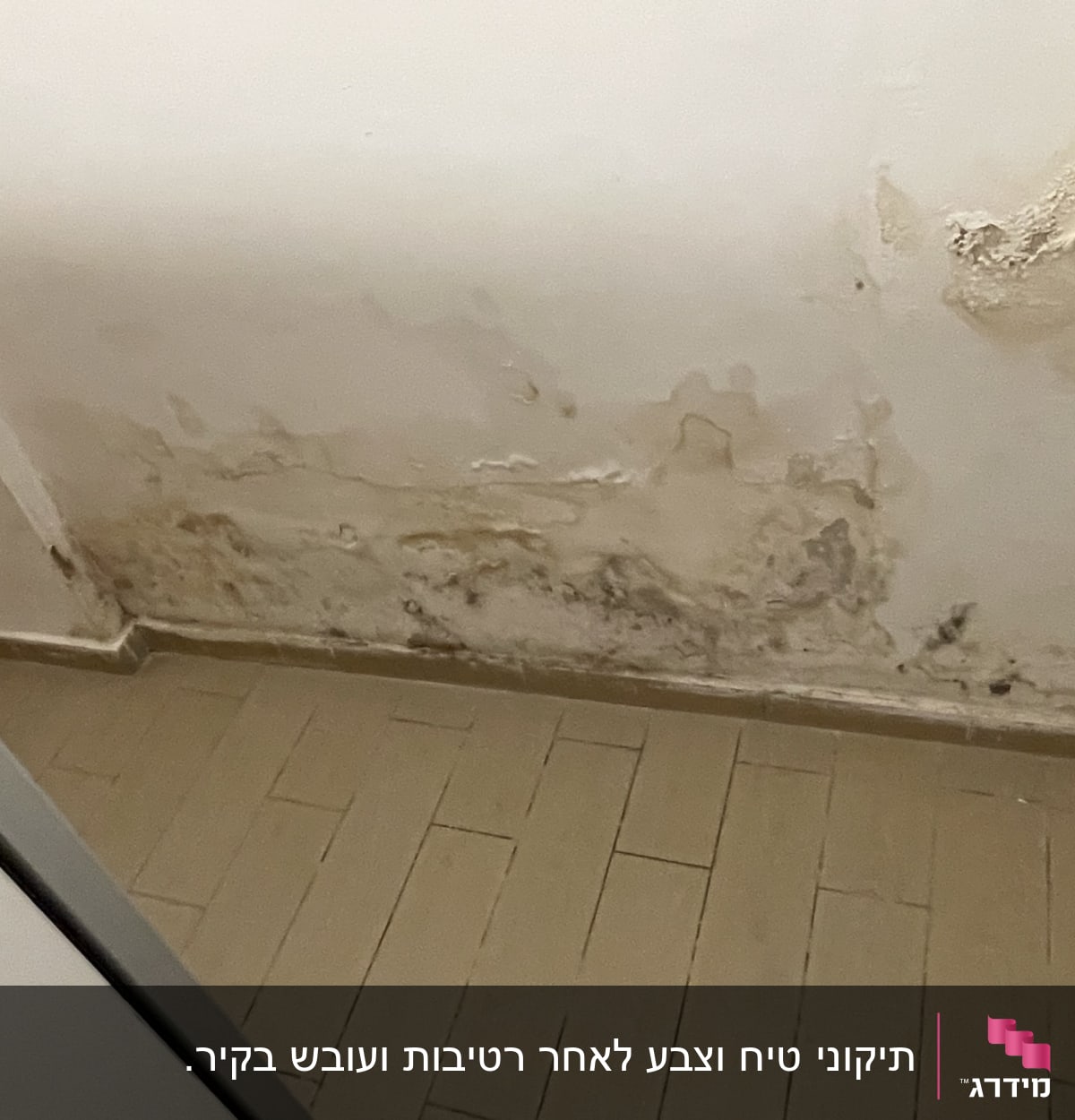 לפני התיקון